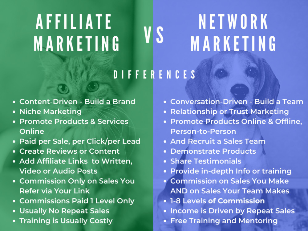 Affiliate Success