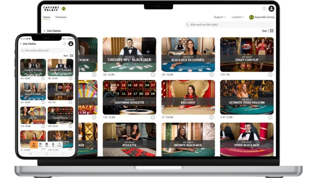 Live Dealer Casino Setup