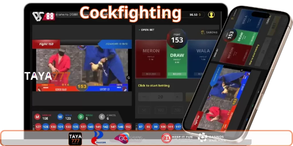 Live Sabong Cockfighting on TAYA777 TV
