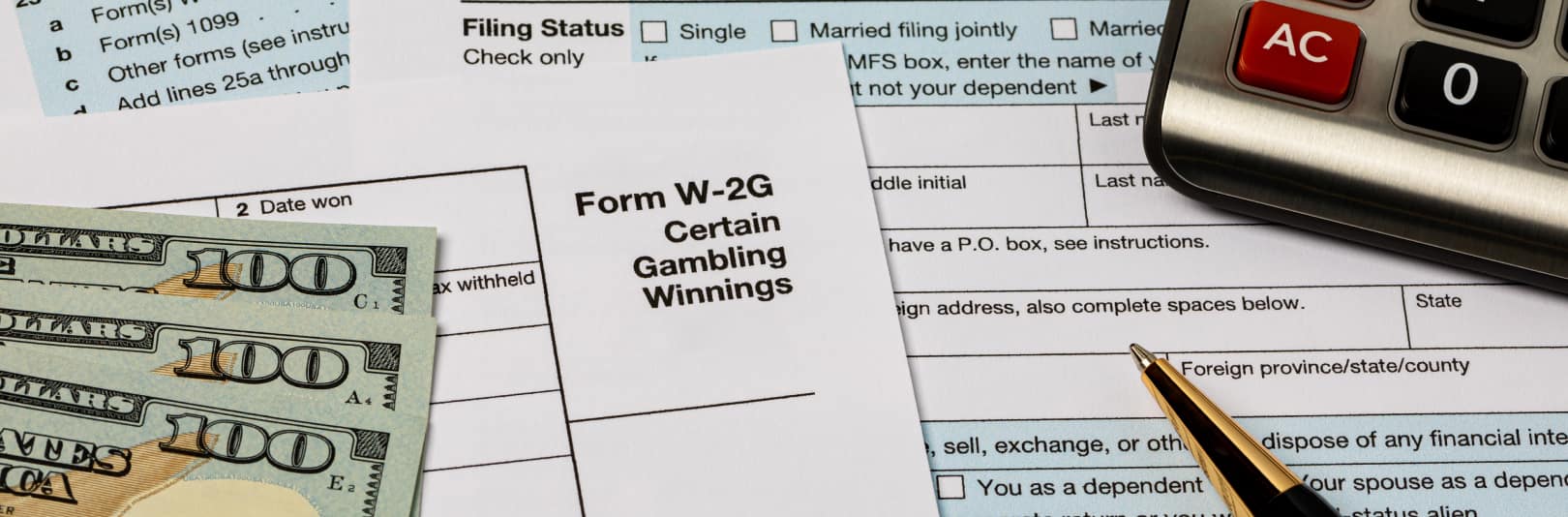 Track Gambling Income and Losses